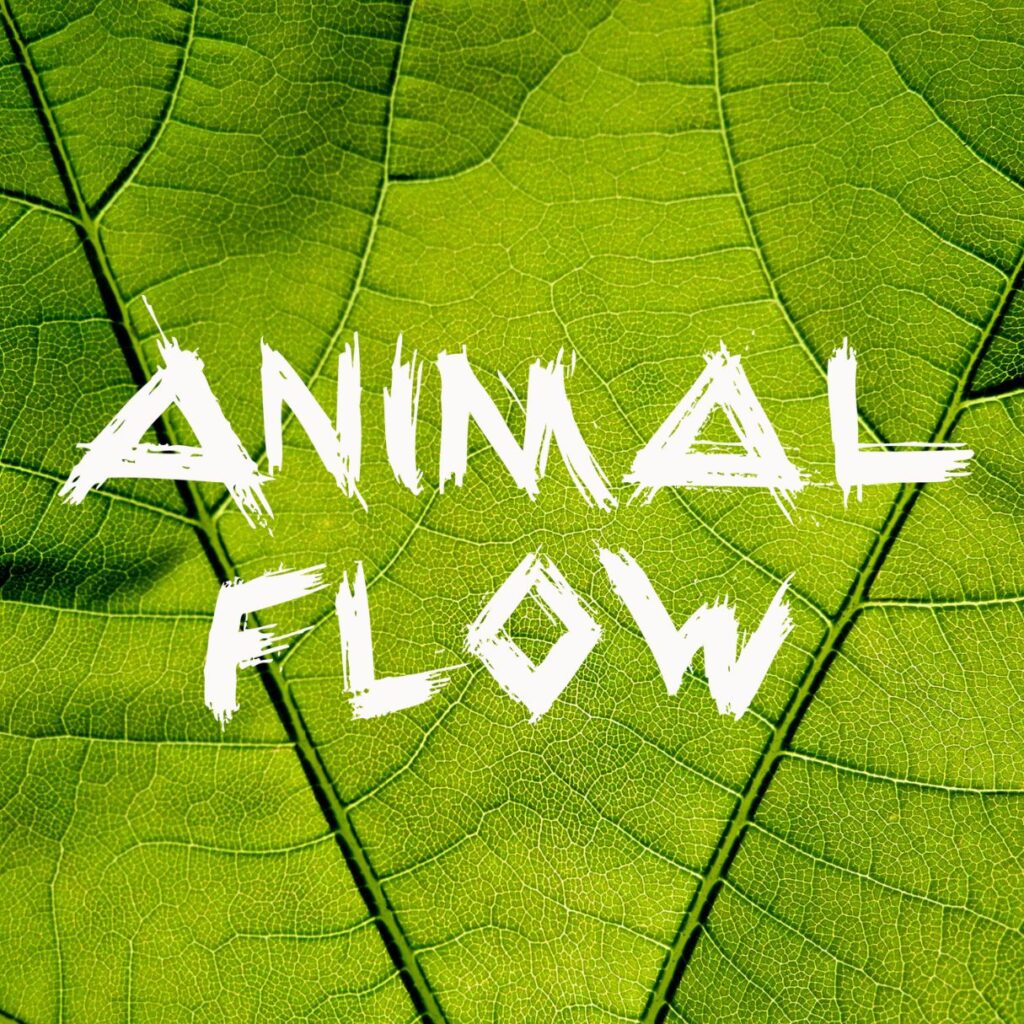 Summer Flow Retreat, Animal Flow