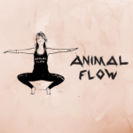 Animal Flow Intro-Kurs mit Hannanda Fusion