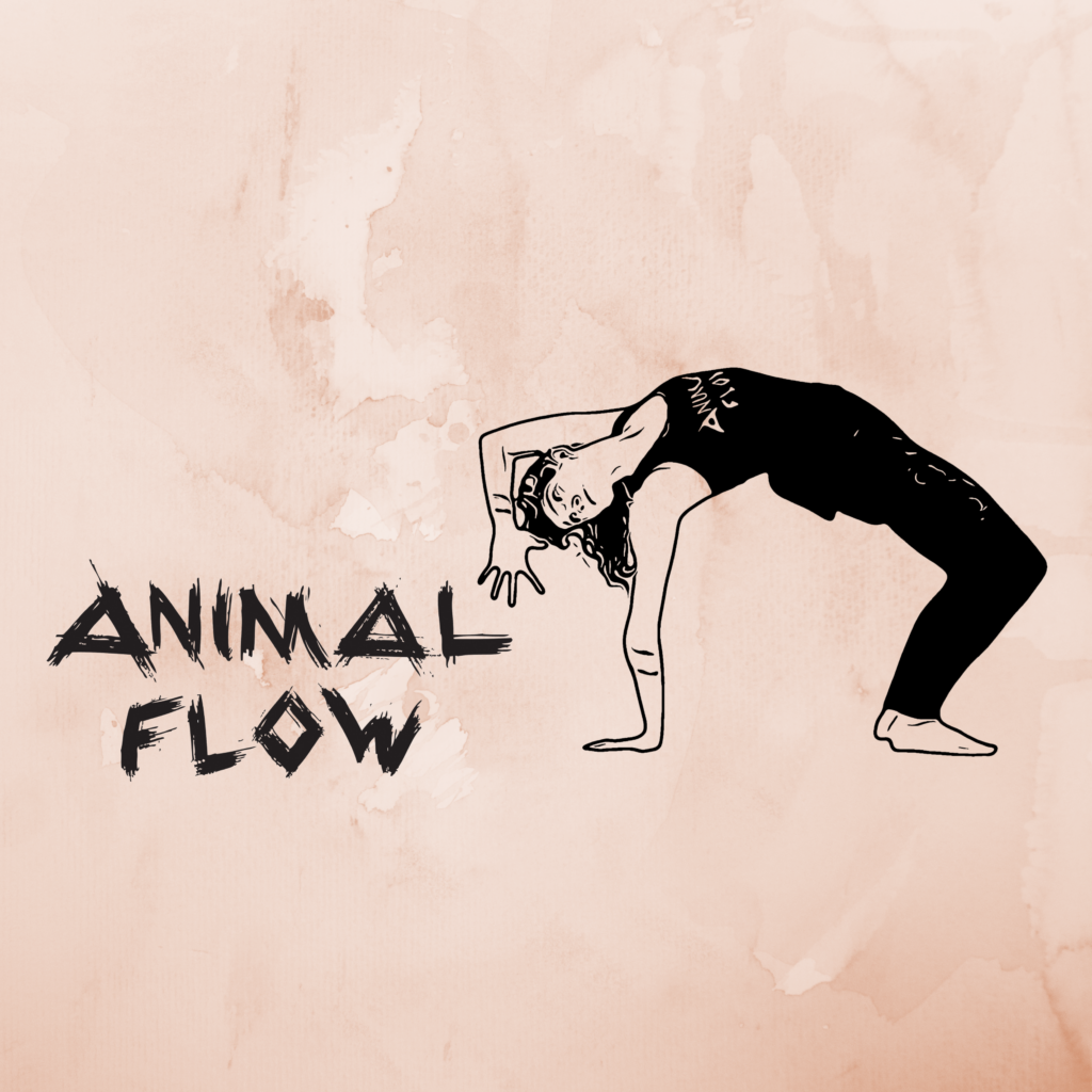 Animal Flow Anfängerkurs mit Hannanda Fusion