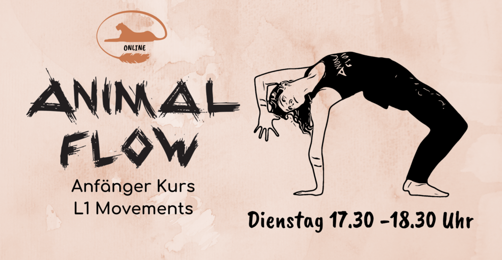 Animal Flow Kurs für Anfänger L1 Movements