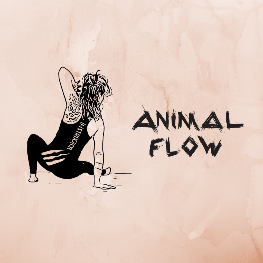 Animal Flow Fortgeschrittenenkurs mit Hannanda Fusion